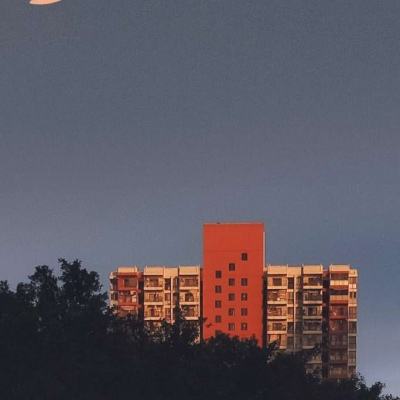 安博app官方网站