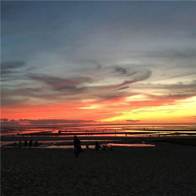 彩神手机app下载截图