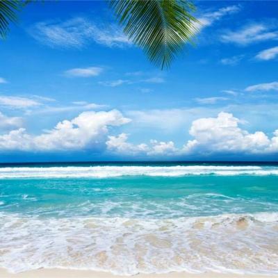 全球十大正规网赌网址