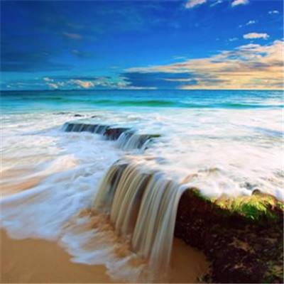 leyu手机版登录入口官网